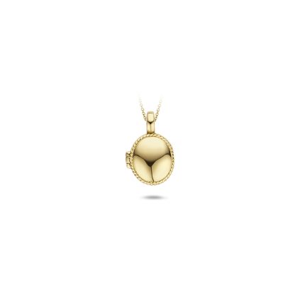Gouden sieraden Blush