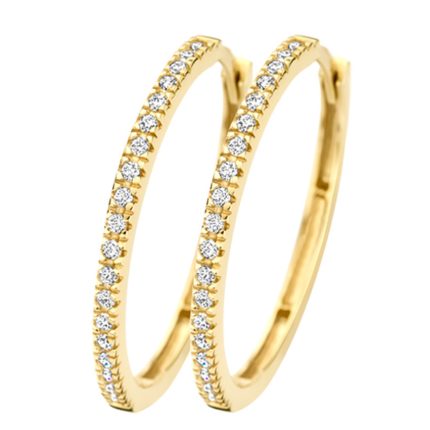 Gouden sieraden Blush