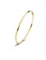 Gouden sieraden Fjory