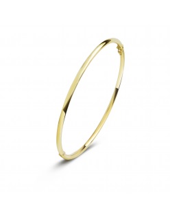 Gouden sieraden Fjory