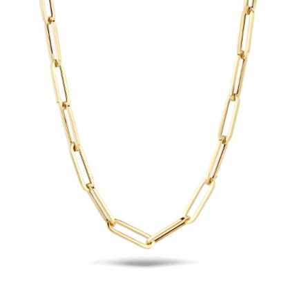 Gouden sieraden Blush