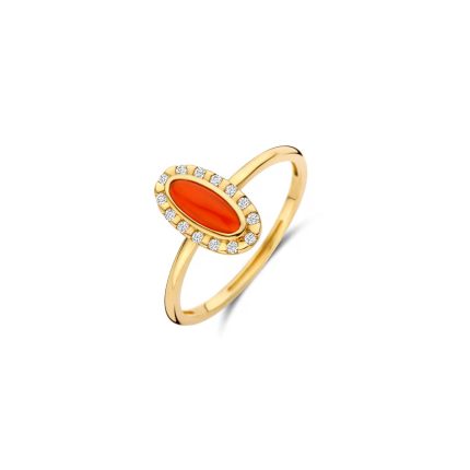 Gouden sieraden Blush