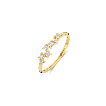 Gouden sieraden Blush