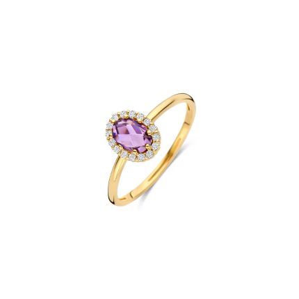 Gouden sieraden Blush