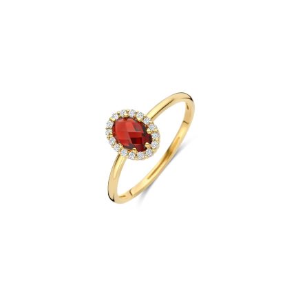 Gouden sieraden Blush