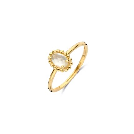 Gouden sieraden Blush