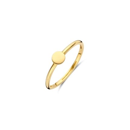 Gouden sieraden Blush