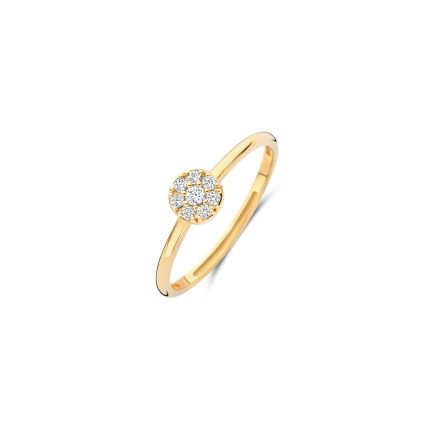 Gouden sieraden Blush
