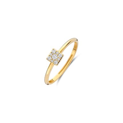 Gouden sieraden Blush