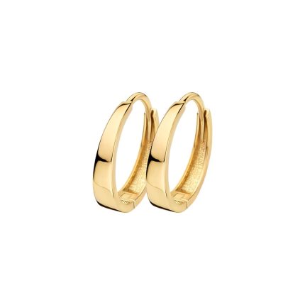 Gouden sieraden Blush