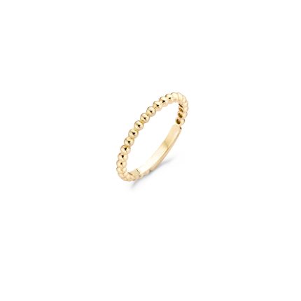Gouden sieraden Blush