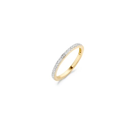 Gouden sieraden Blush