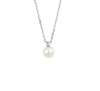 Zilver Collectie
