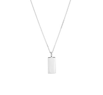 Zilver Collectie