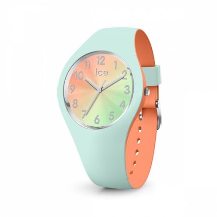 Horloge Ice Watch