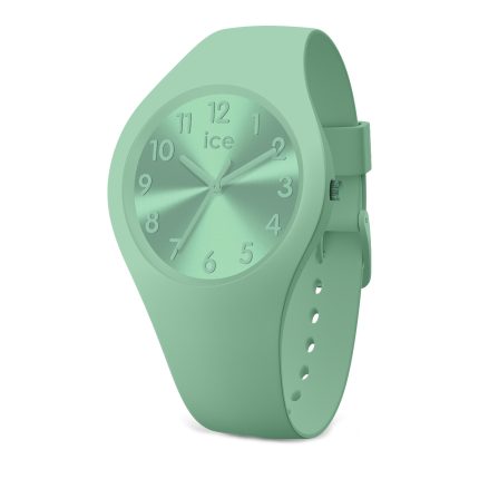 Horloge Ice Watch